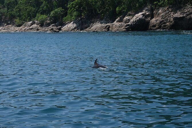 Enjoy paradise: Hidden Beach Snorkeling Adventure - Practical Details and Value for Money
