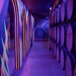 Immersive Experience & Tequila Tasting in Puerto Vallarta - Who Is This Tour Best For?