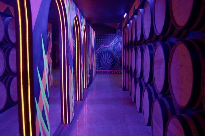 Immersive Experience & Tequila Tasting in Puerto Vallarta - Who Is This Tour Best For?