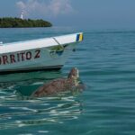 In Contact with Nature, Sian Ka'an Biosphere Boat Ride Tour - A Deep Dive into the Experience