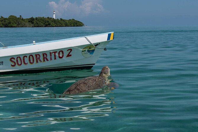 In Contact with Nature, Sian Ka'an Biosphere Boat Ride Tour - A Deep Dive into the Experience