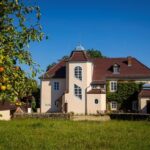 In the shadow of Moritzburg Castle  guided tour of the town center - What’s Included and What’s Not