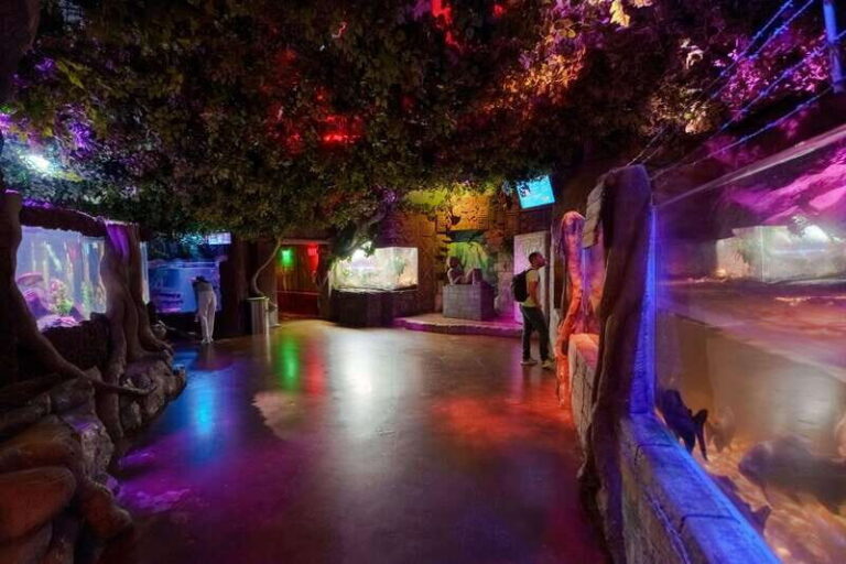 Inbursa Aquarium Entry Ticket with VR Option - The Itinerary Breakdown: What You Can Expect