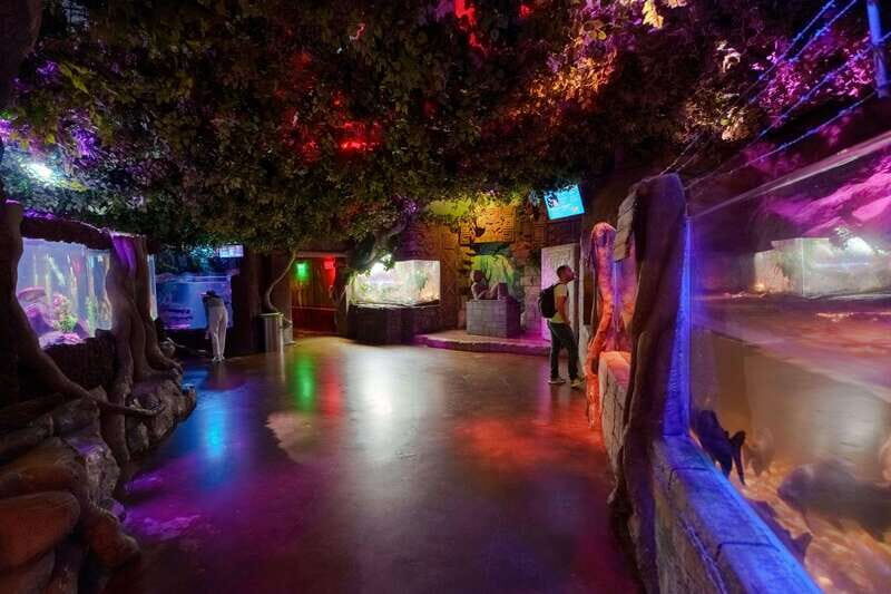 Inbursa Aquarium Entry Ticket with VR Option - The Itinerary Breakdown: What You Can Expect