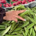 Indian Inspired Cooking Class in Pleasanton - The Experience in Context: Why This Class Works