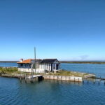 Industry or Nature Boat Tour | Speedboat - What Makes This Tour Special