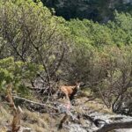 Innsbruck: Private Adventure Tour with Guide - Exploring Innsbruck and the Tyrolean Inn Valley