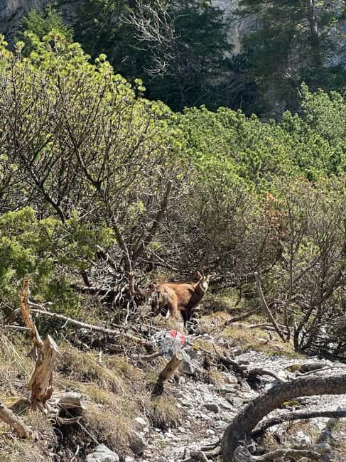 Innsbruck: Private Adventure Tour with Guide - Exploring Innsbruck and the Tyrolean Inn Valley