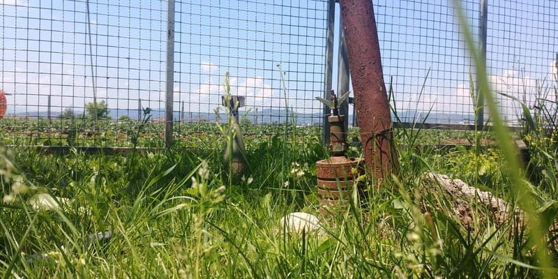 Inside the Siege: Sarajevos Story of Survival - The Experience: What Sets It Apart