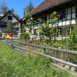 Interlaken: Ballenberg Swiss Open-Air Museum Tour - What You’ll See and Do at Ballenberg