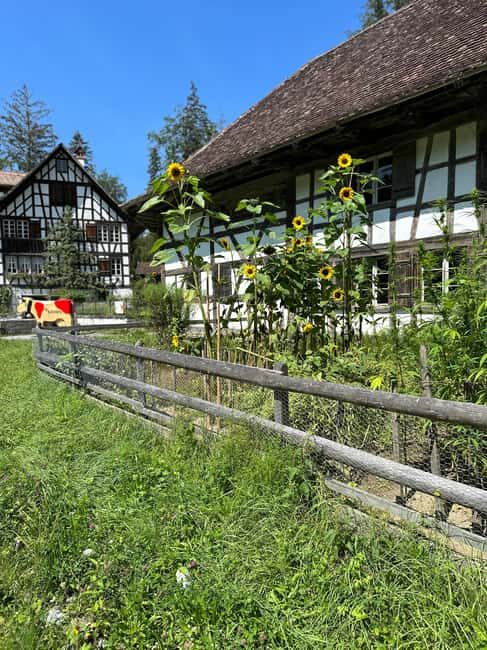 Interlaken: Ballenberg Swiss Open-Air Museum Tour - What You’ll See and Do at Ballenberg
