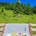 Interlaken: Scenic Walk and Raclette by the Mountain Lake - Who is this tour best suited for?