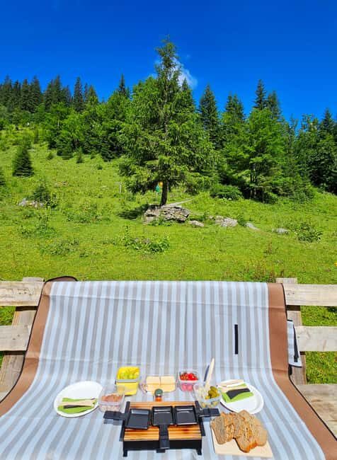 Interlaken: Scenic Walk and Raclette by the Mountain Lake - Who is this tour best suited for?