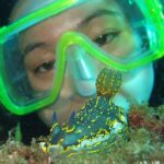 Intro Dive in Dubrovnik - Why This Tour Offers Value
