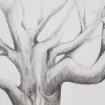 Introduction to Drawing - Practical Details and Tips
