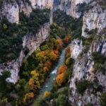 Irati Forest and Ochagavía Excursion - The Experience: What Travelers Really Think