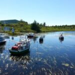 Irish Loop to Ferryland Tour - Why This Tour Is a Great Choice