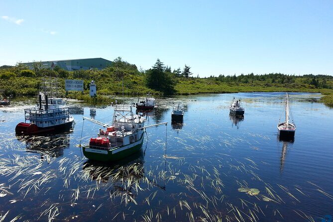 Irish Loop to Ferryland Tour - Why This Tour Is a Great Choice