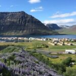 Ísafjörður: Dynjandi Waterfall & Flateyri Village Tour - Who Is This Tour Best For?