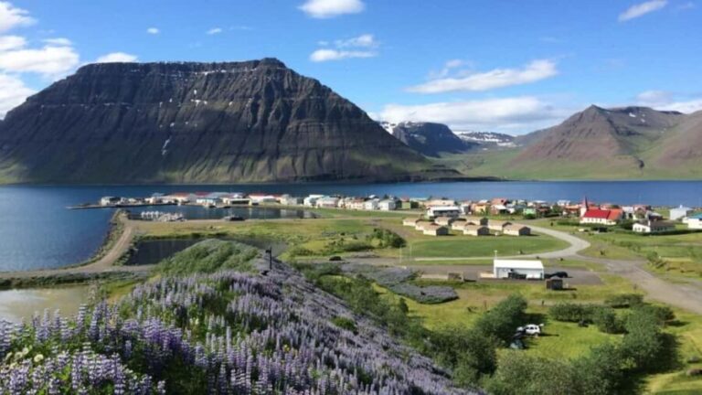 Ísafjörður: Dynjandi Waterfall & Flateyri Village Tour - Who Is This Tour Best For?