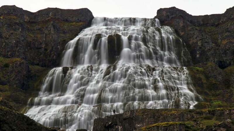 Isafjordur: Dynjandi Waterfall Guided Tour - The Real Experience: What Travelers Say