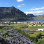 Ísafjörður: Flateyri Village tour: Nature, Culture, History - Visiting Key Sites in Flateyri