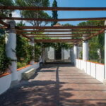 Ischia: Archaeological Museum of Pithecusae Ticket - Practical Details & What to Expect