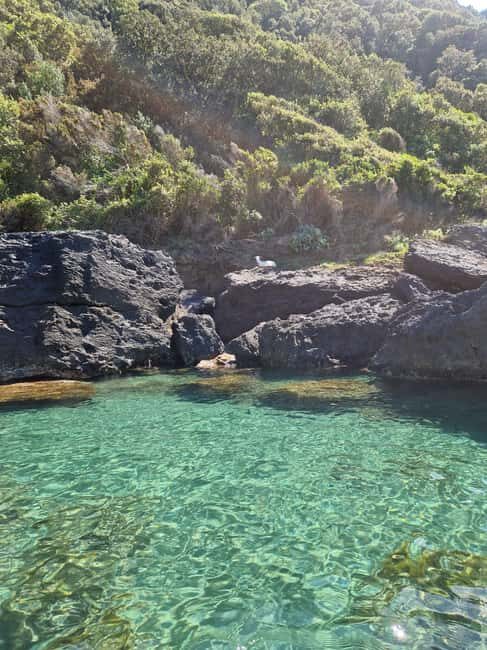 Ischia: Private SUP Lesson and Tour of the Forio Coast - Who Will Love This Tour?