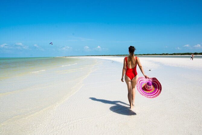 Isla Holbox Day Tour from Cancun with Lunch Included - From the Reviews: Authentic Insights