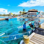 Isla mujeres: 100% transparent boat ride on board the boat - Comparing Similar Experiences