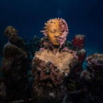 Isla Mujeres: MUSA and the Manchones Reef: 2 Tank Dive Tour - What’s Included and What to Consider