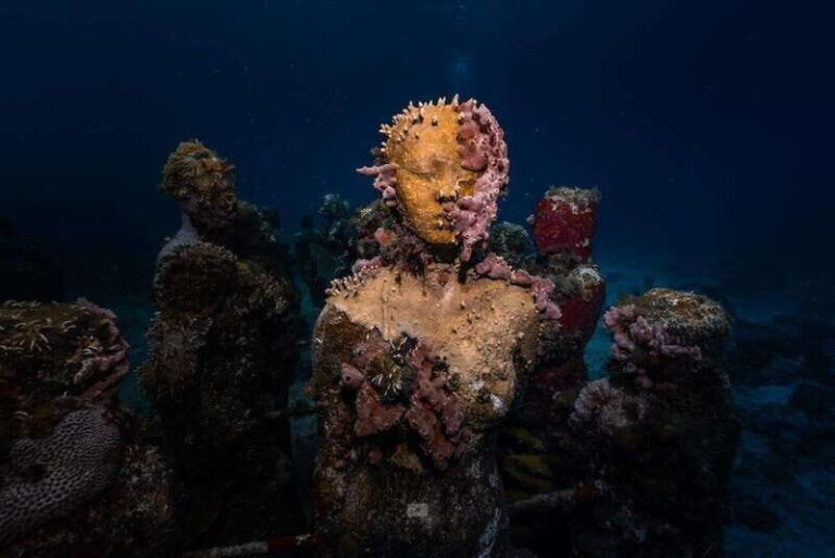 Isla Mujeres: MUSA and the Manchones Reef: 2 Tank Dive Tour - What’s Included and What to Consider  