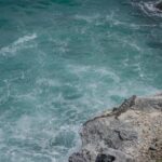 Isla Mujeres Private Excursion - Price and Value Analysis