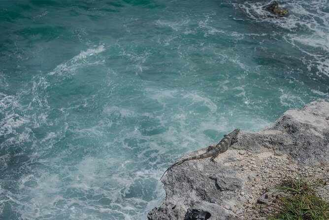 Isla Mujeres Private Excursion - Price and Value Analysis