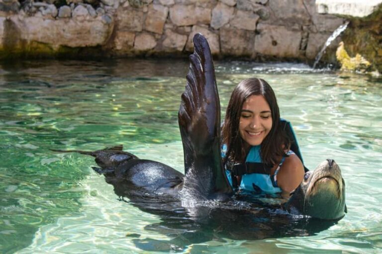 Isla Mujeres: Sea Lion & Manatee Interaction with Buffet - What Travelers Say