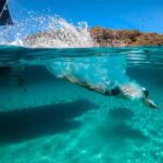 Island Hopping: Santorini to Koufonisia & Iraklia - A Deep Dive into the Experience