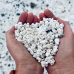 Island Lobos: Lobos by speedboat, Popcorn Beach & Dunes Tour - Authentic Experiences and Practical Details