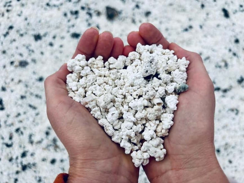 Island Lobos: Lobos by speedboat, Popcorn Beach & Dunes Tour - Authentic Experiences and Practical Details