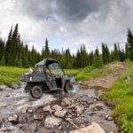 Island Park: Full-Day UTV Adventure - Vehicle Options and Group Dynamics