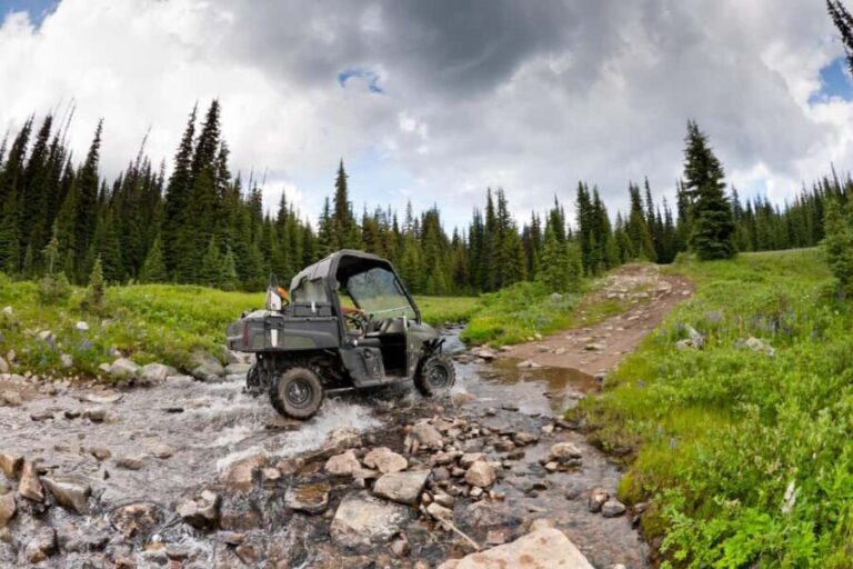 Island Park: Full-Day UTV Adventure - Vehicle Options and Group Dynamics