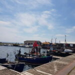 Island taster tour with Swinemünde - Kamminke: An Old Fishing Village with a Story