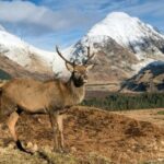 Isle of Skye Day Tour - What the Tour Includes and What You Should Know