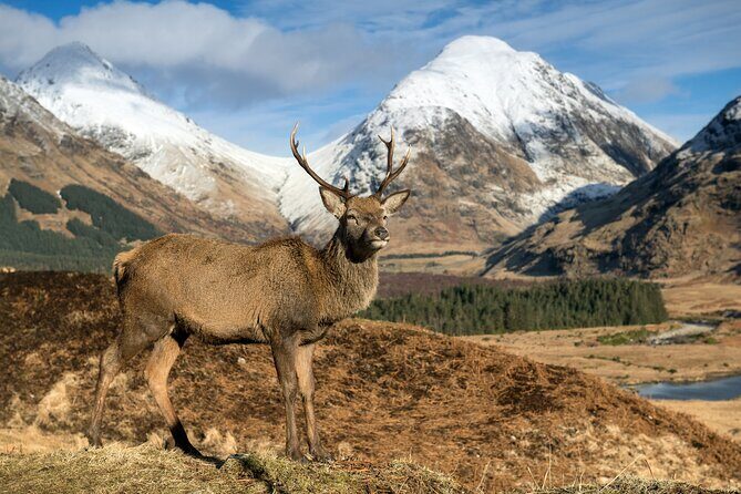 Isle of Skye Day Tour - What the Tour Includes and What You Should Know