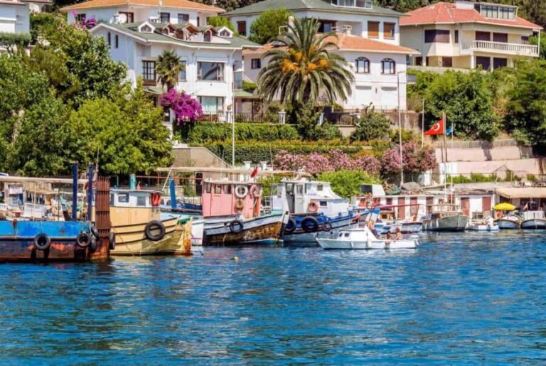 Istanbul 3 Island Cruise with Lunch & Free Time - What’s Missing & Considerations