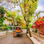 Istanbul: 3 Princes' Islands Cruise with Lunch and Guide - An In-Depth Look at the Princes Islands Cruise Experience