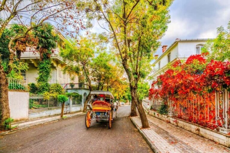 Istanbul: 3 Princes' Islands Cruise with Lunch and Guide - An In-Depth Look at the Princes Islands Cruise Experience