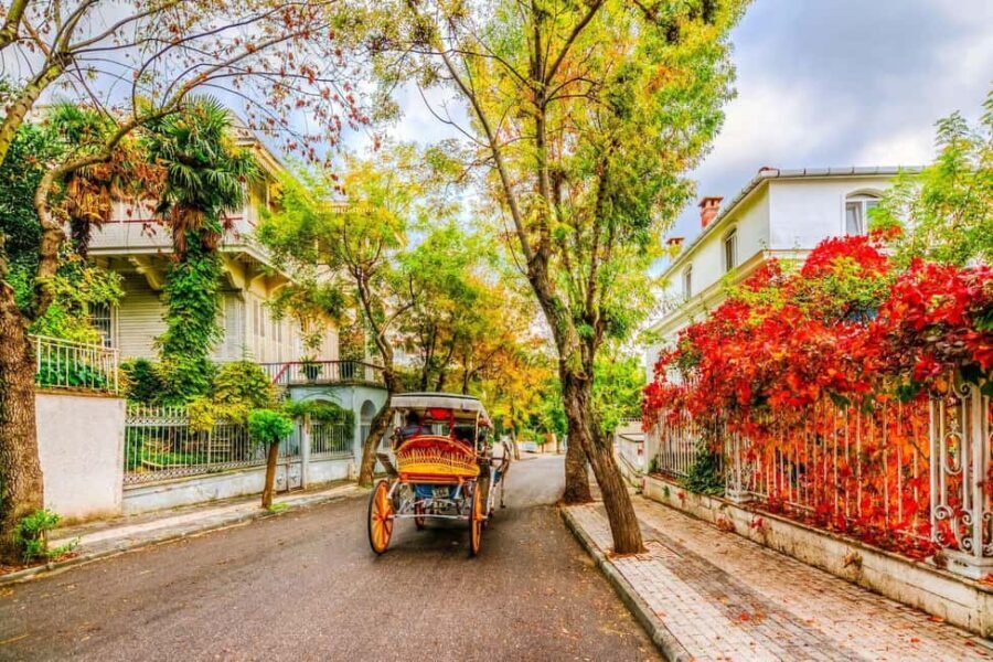 Istanbul: 3 Princes' Islands Cruise with Lunch and Guide - An In-Depth Look at the Princes Islands Cruise Experience