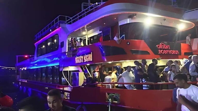 Istanbul: Bosphorus Dinner Cruise - An Overview of the Experience