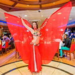 Istanbul Bosphorus: Dinner Cruise & Folklore & Belly Dance - The Scenic Highlights