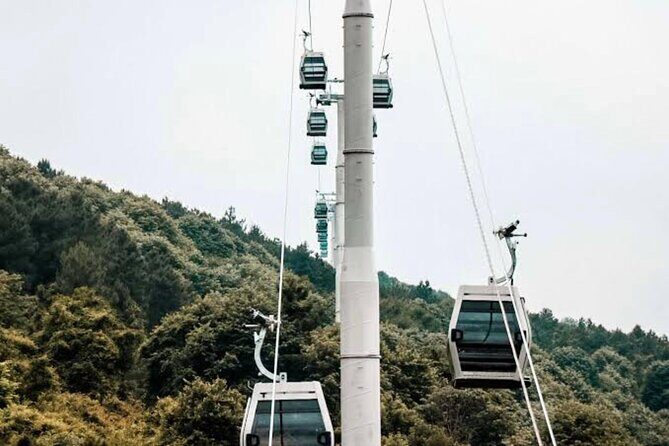 Istanbul Lake Sapanca Tour with Lunch and Transfer - What the Reviews Say